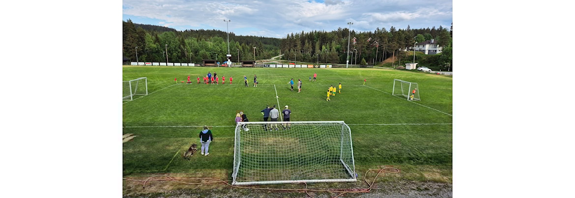 Dugnad gressbane mv.